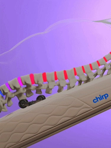 Chirp Contour | Decompression & Massage Table