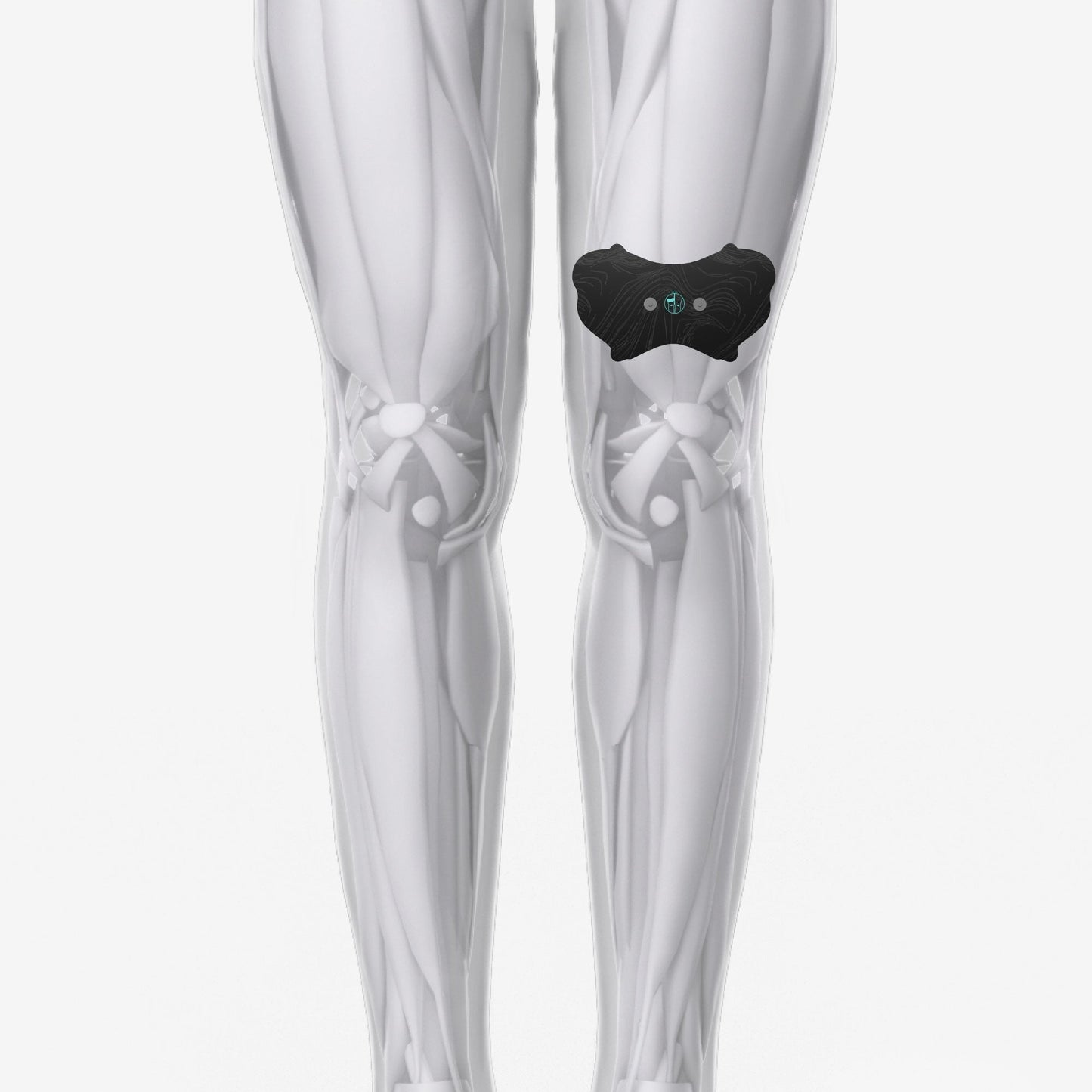 Halo Lower Body Bundle