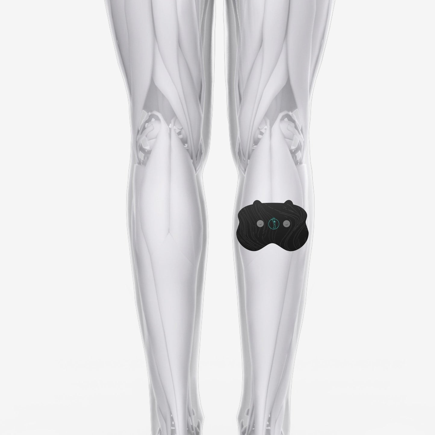 Halo Calf Pad Set 6-Pack