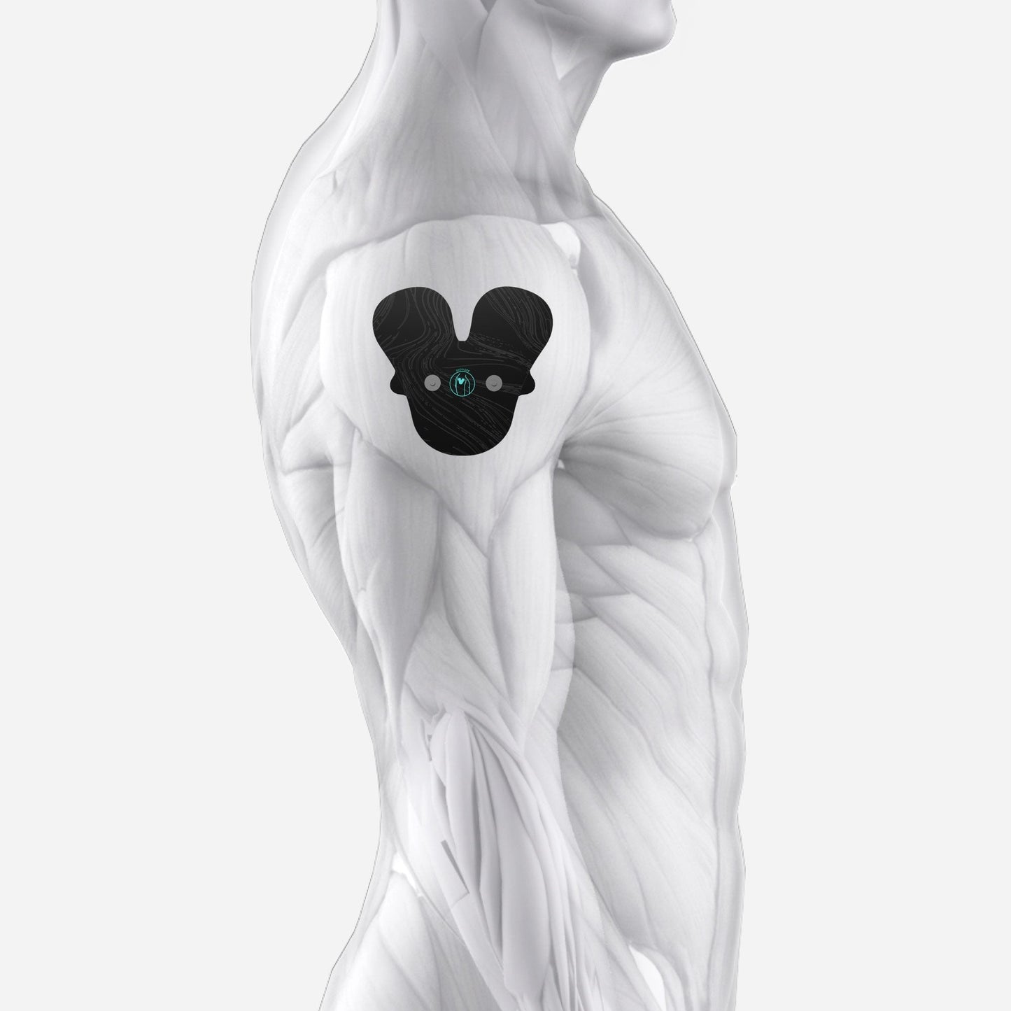 Halo Shoulder Pad Set 6-Pack