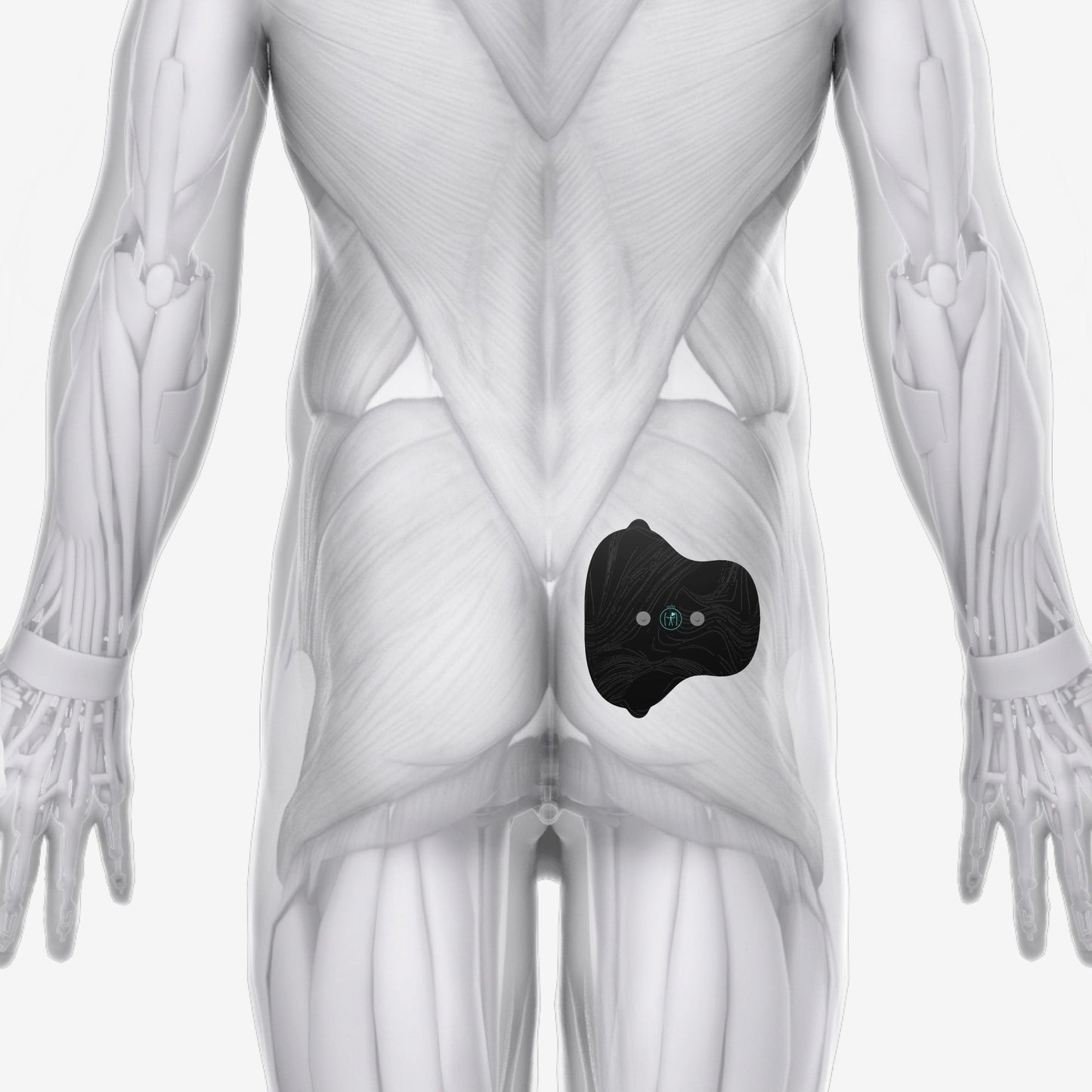 Halo Glute Pad Set 3-Pack