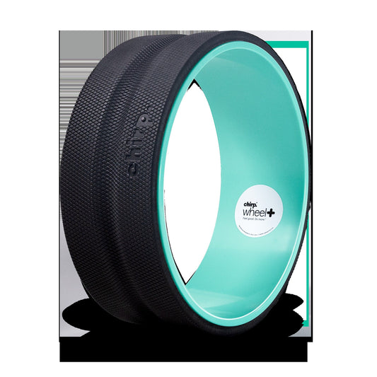 Chirp Wheel+ 12" Gentle