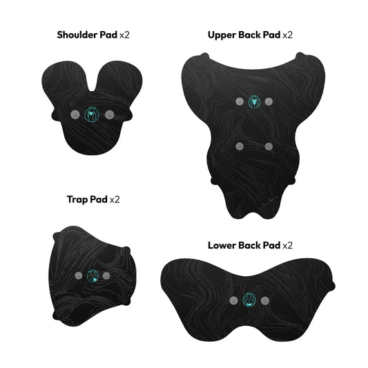Halo Upper Body Bundle