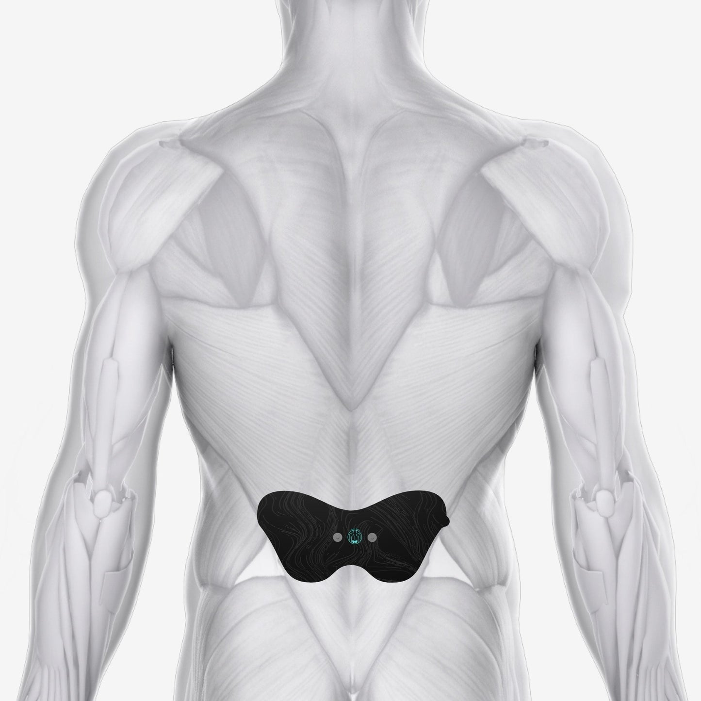Halo Lower Back Pad Set