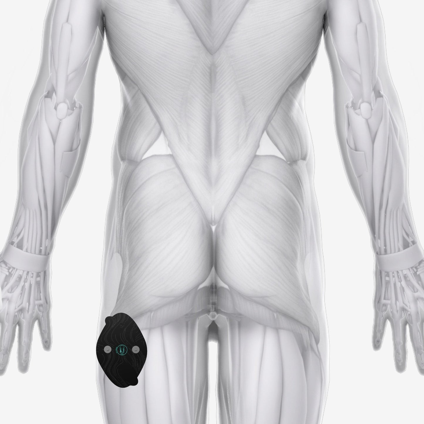 Halo Lower Body Bundle